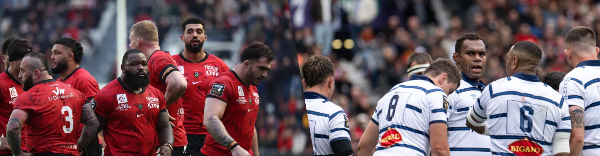 Barrages TOP 14 : Toulon - Castres, pour une place en demi-finale