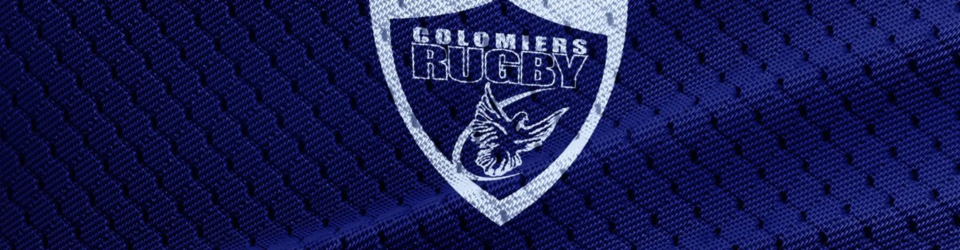 Histoire de blason : Colomiers, la colombe a pris son envol