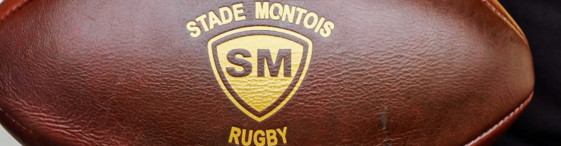 Histoire de blason : Mont-de-Marsan, des couleurs originales et inimitables