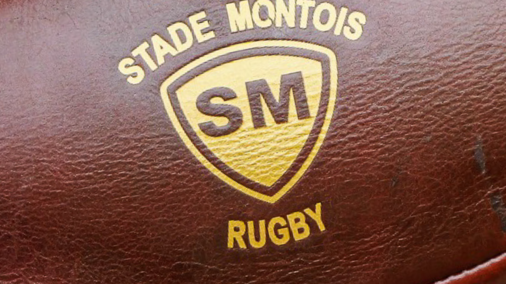 Histoire de blason : Mont-de-Marsan, des couleurs originales et inimitables
