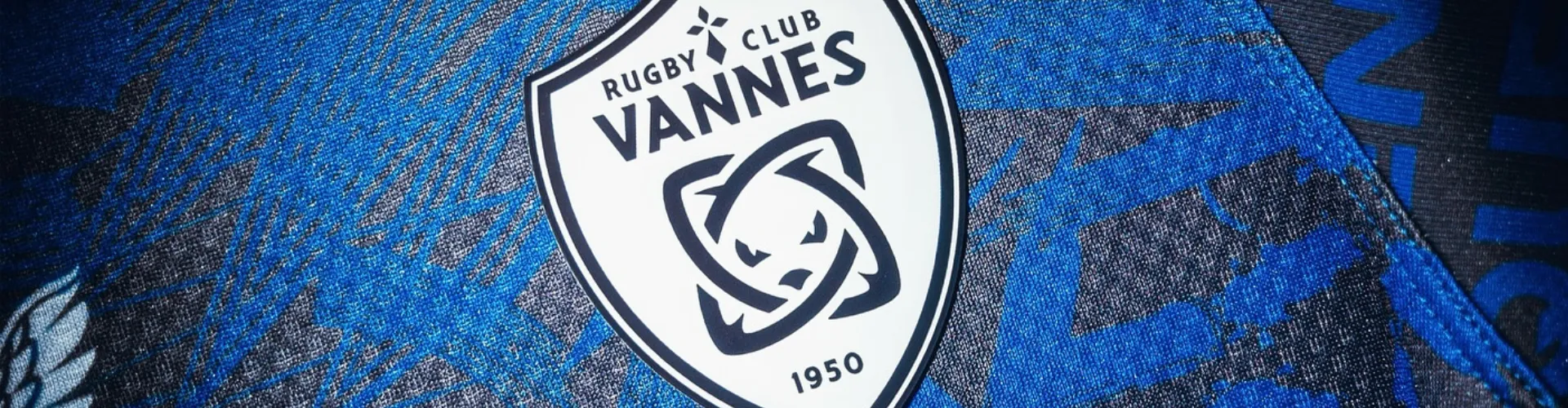 Histoire de blason : Vannes, fierté et identité