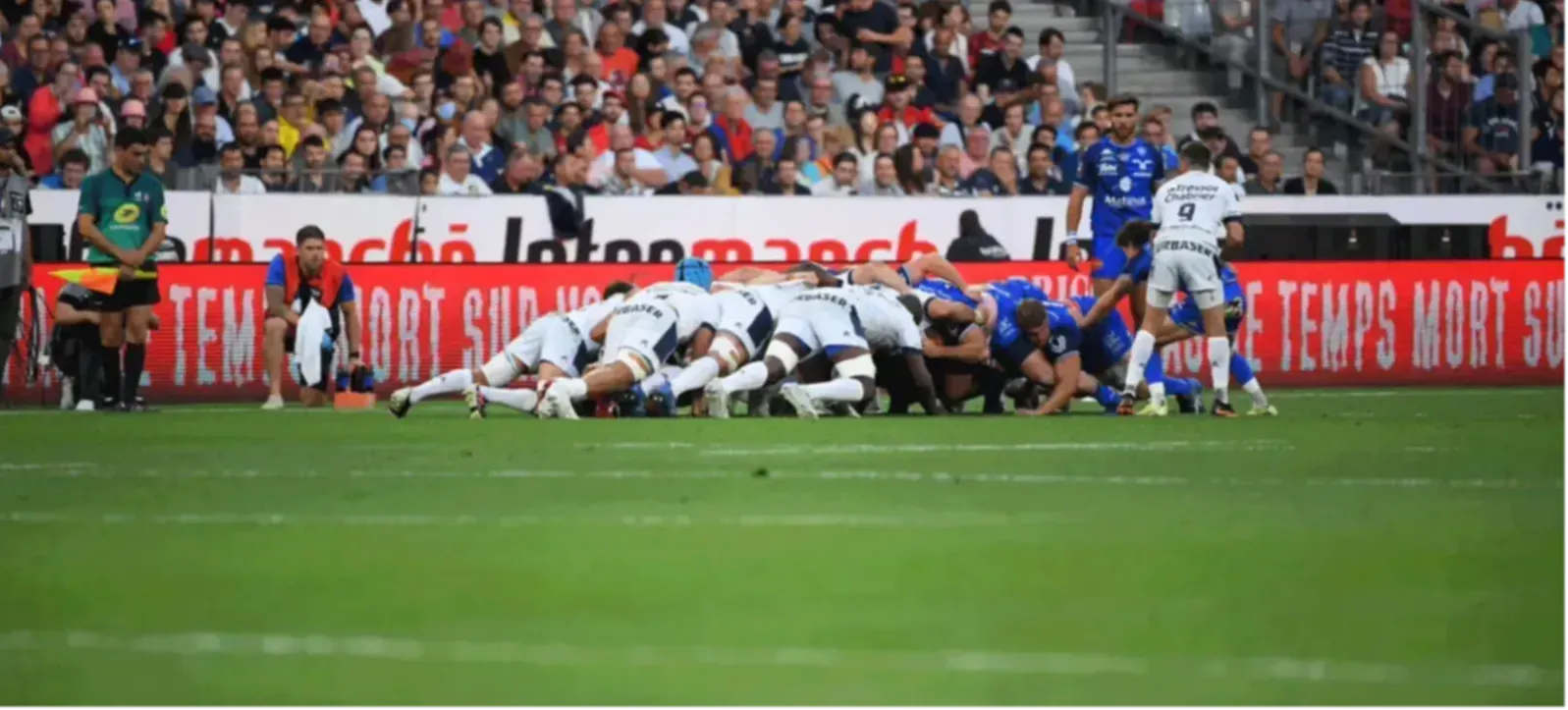 XV du mois