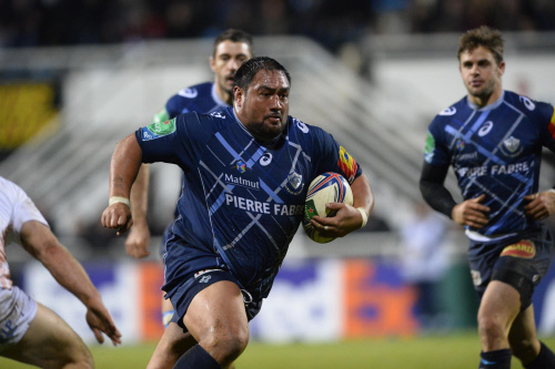 TOP 14 – J15 - Grenoble-Castres : coup d’arrêt pour Castres