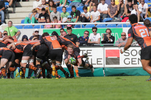 PRO D2 – J9 : match nul à Narbonne