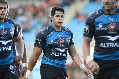 TOP 14 - J11: Montpellier sans plus