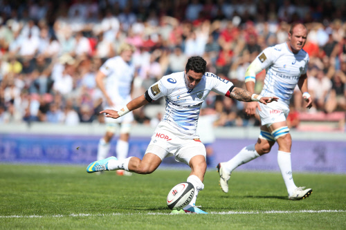 TOP 14 – J8 : le champion se comporte en champion !