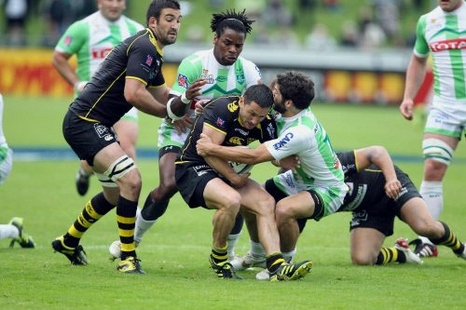 PRO D2, Demi-finale - Pau-La Rochelle : Victoire sous tension des Palois