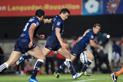 TOP 14 Orange, Barrages - Montpellier, le miraculé