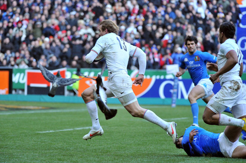 VI Nations, J2. France – Irlande : franchir un cap