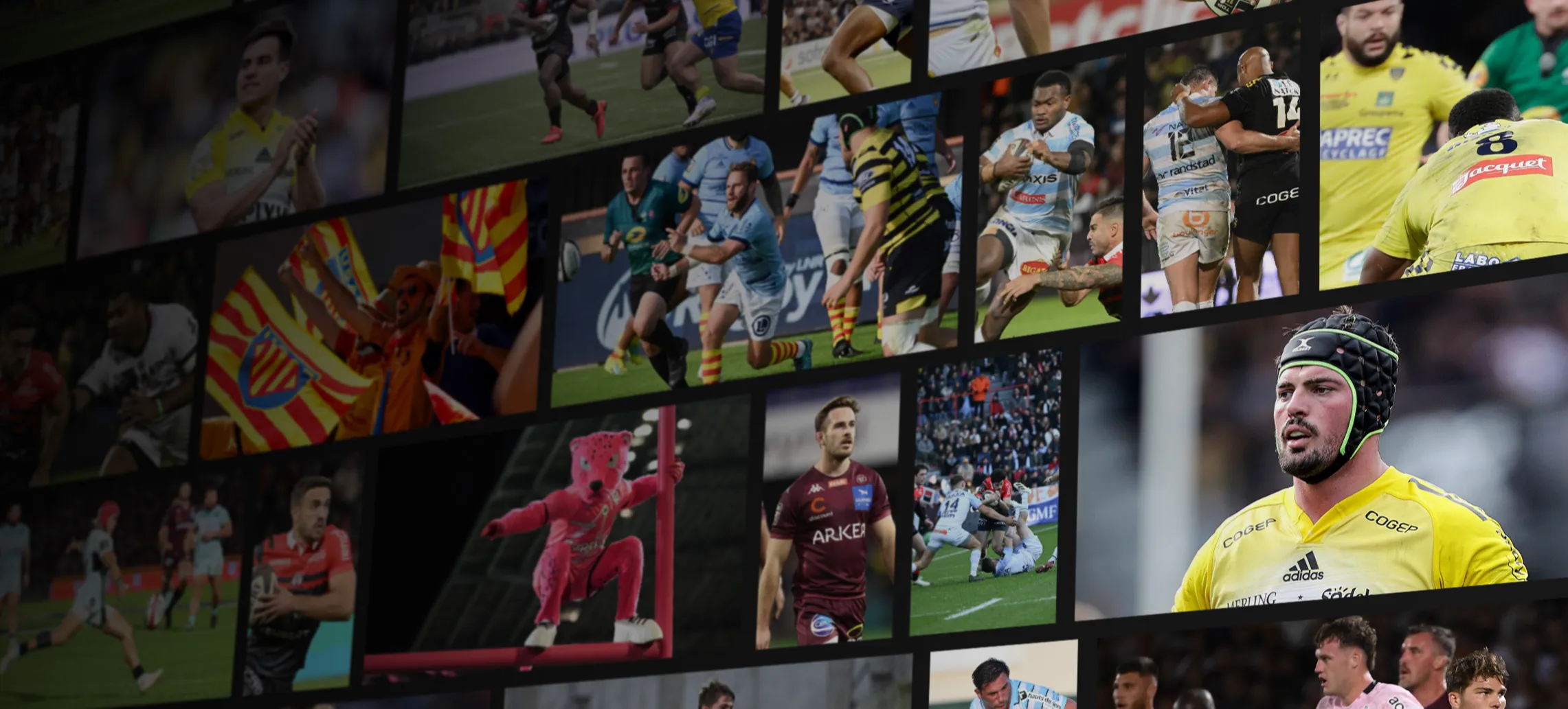 Les joueurs du TOP 14