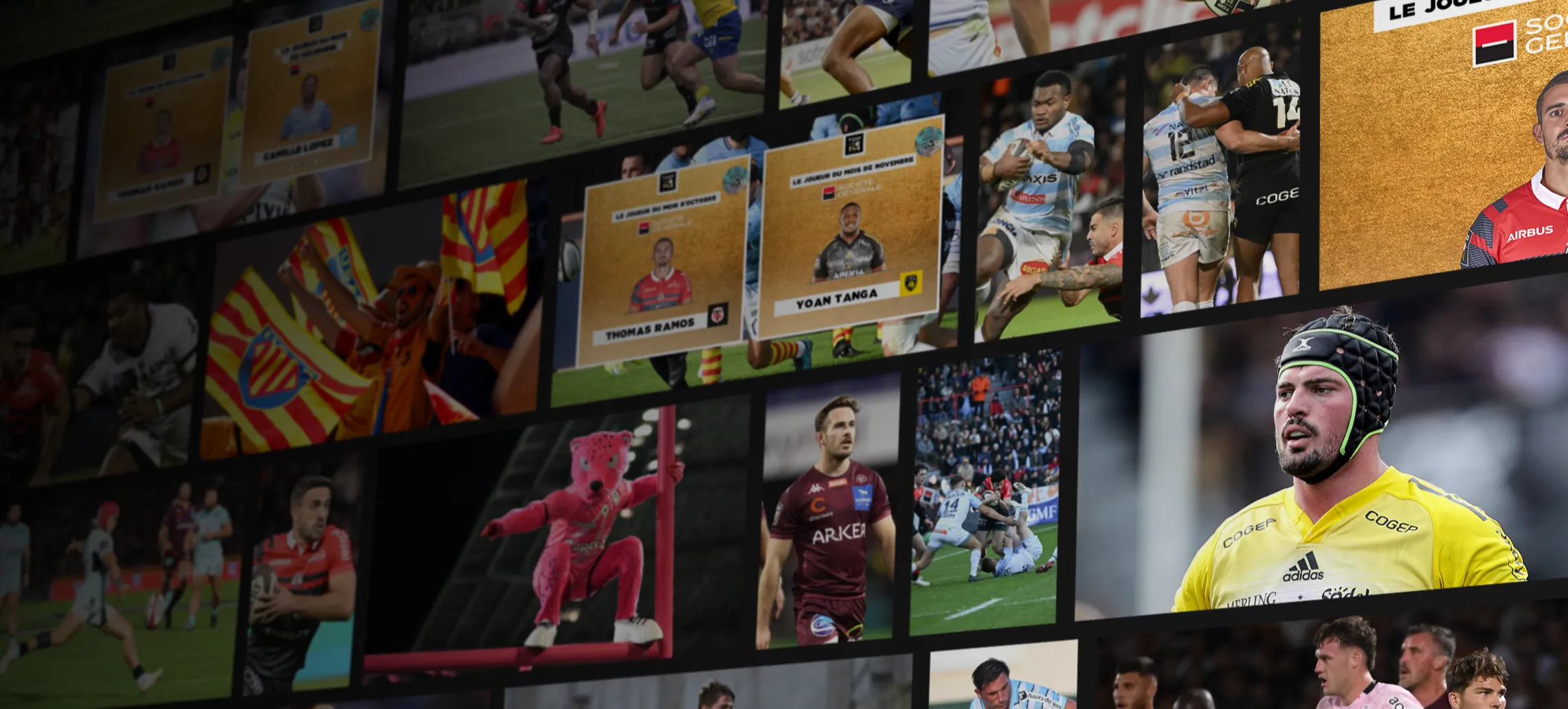 Les awards du TOP 14